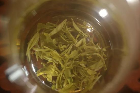 碧螺春正確泡法和飲用，碧螺春茶泡茶方法與溫度