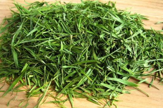 哪類人不適合喝石竹茶，石竹茶的功效與禁忌