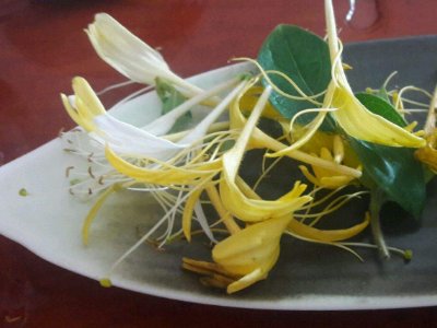 喝茶治口臭嗎，什么茶治口臭好？