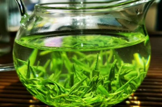 喝黃金茶禁忌，什么人不能喝黃金芽茶？