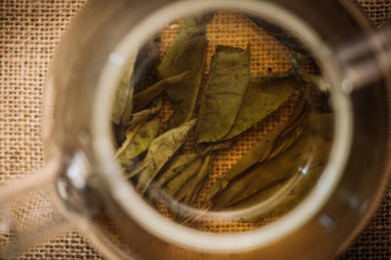 苦丁茶副作用，苦丁可以經(jīng)常喝嗎？