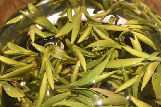 八大茶系都有哪幾種，八大茶系都是什么名字