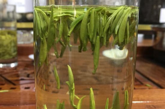 雀舌茶的副作用，雀舌茶什么人不能喝？