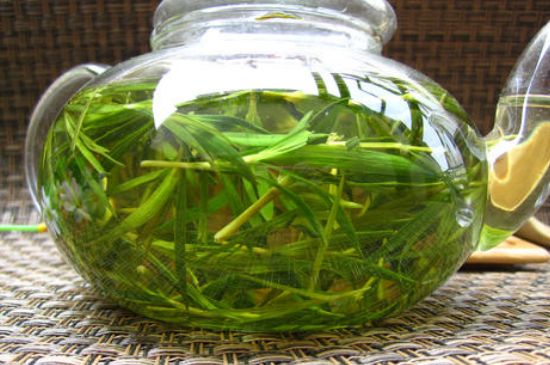 竹葉茶的禁忌，竹葉泡茶的功效禁忌