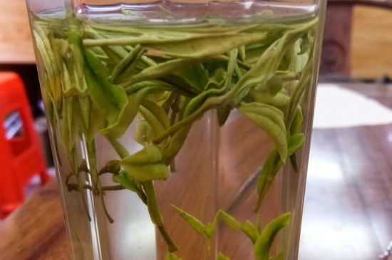 云霧綠茶的功效及禁忌，哪些人不適合喝云霧茶