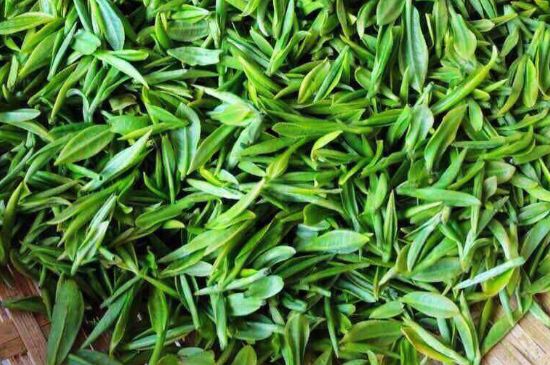 云霧綠茶的功效及禁忌，哪些人不適合喝云霧茶