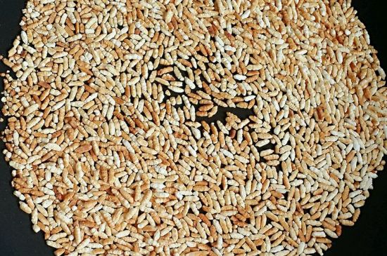 玄米茶是紅茶嗎，玄米茶怎么喝