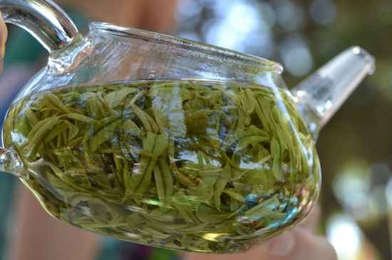 新手學泡茶的基本常識，從零開始學泡茶