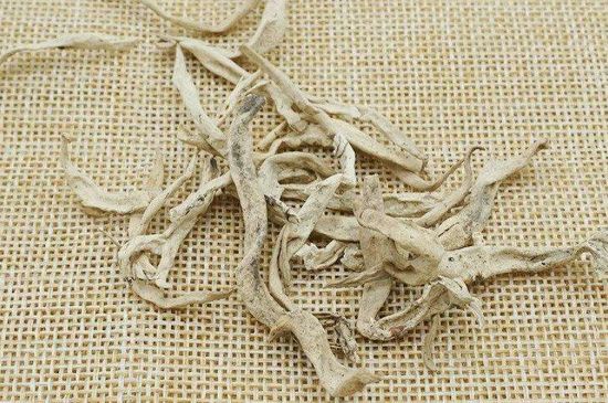 麗江雪茶的功效與作用，白雪茶有什么功效和作用