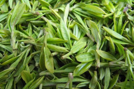 世界最貴的茶葉排行榜，十大最貴的茶