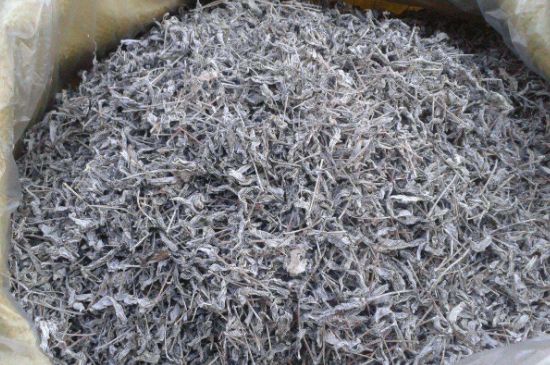 怎樣辨別莓茶發(fā)霉了，莓茶發(fā)霉和白霜的區(qū)別