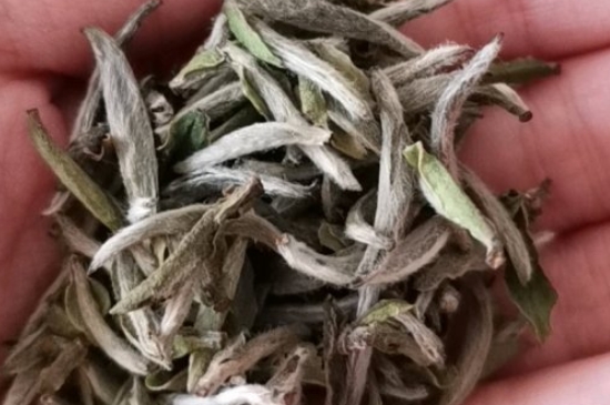 如何買茶葉不上當(dāng)，怎么買茶葉不被坑？