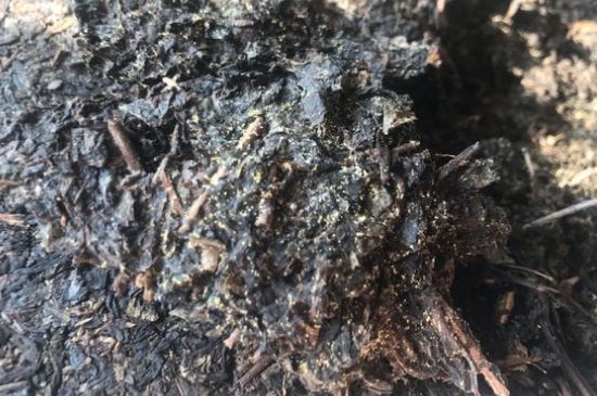 茯茶可以放在冰箱里存放嗎，茯磚茶如何儲(chǔ)存？