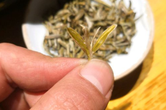 六大茶類哪種適合長期存放，日常如何保存方法一覽？