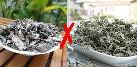 張家界茅巖莓茶與藤茶是同一種茶嗎，藤茶跟莓茶一不一樣？