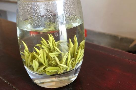 安吉白茶耐寒嗎，白茶適合放冰箱嗎