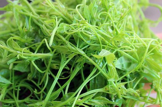 茅巖莓茶別名是什么，莓茶別名叫藤茶嗎？