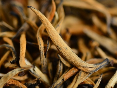 怎么知道什么茶葉適合自己，怎么判斷自己適合喝什么茶？