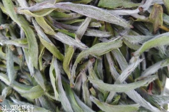 春茶季怎么辨別白毫銀針的好壞，好的白毫銀針如何選購(gòu)？