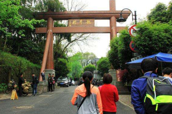 杭州買龍井茶攻略，怎么買到正宗的西湖龍井？