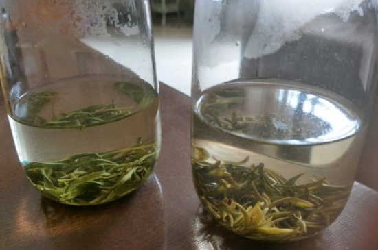 真假碧螺春泡水后區(qū)別，蘇州洞庭碧螺春怎樣鑒別好壞？