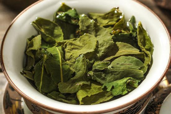 陳茶還是新茶好，茶葉是新茶好喝還是陳茶好喝