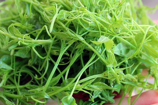 茅巖莓茶保質(zhì)期有多久，張家界莓茶存放時(shí)間長了還能喝嗎？