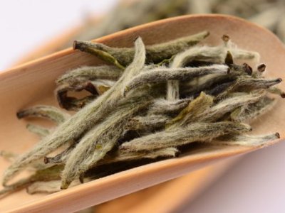 白毫銀針放幾年最好，白毫銀針什么年份最好？