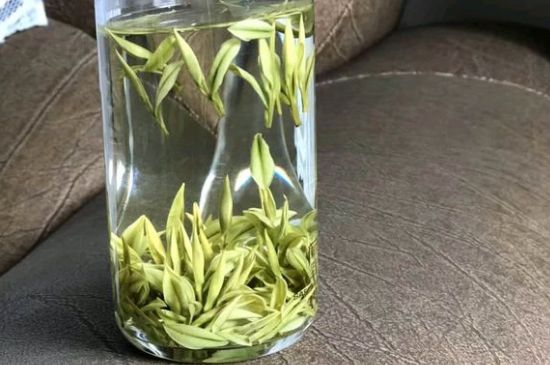 安吉白茶夏天怎么保存，安吉白茶能冷凍儲(chǔ)存嗎？