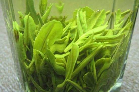 哪種茶葉可以放冰箱，哪些茶不能放冰箱？