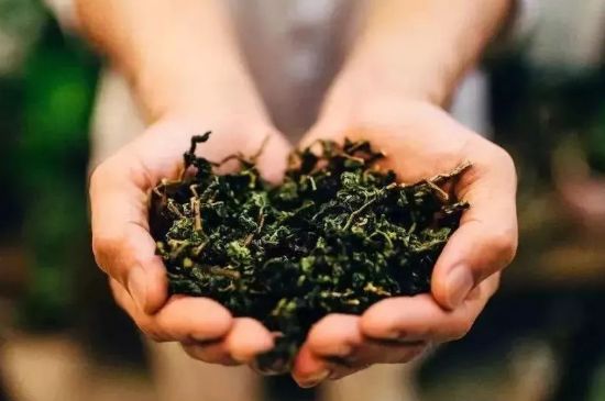 茶葉怎么炒制才香，怎樣炒茶葉更香？
