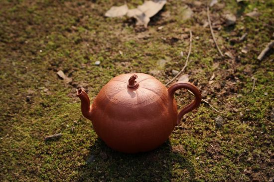 紫砂壺泡什么茶最佳，紫砂壺一般泡什么茶？