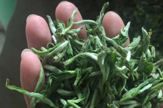 茉莉茶如何制作曬干，自制茉莉茶的做法