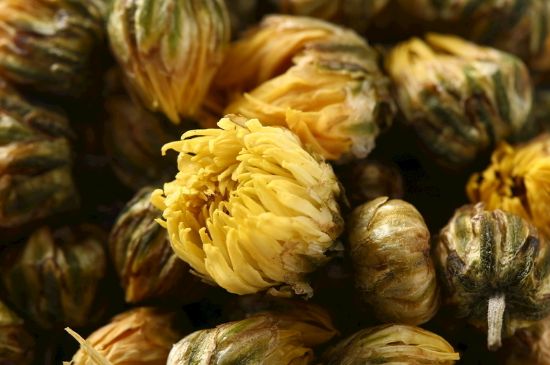 蒲公英搭配大全，蒲公英泡水喝的8種搭配