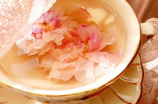 玫瑰花茶一周喝幾次，玫瑰花茶可以天天喝嗎？