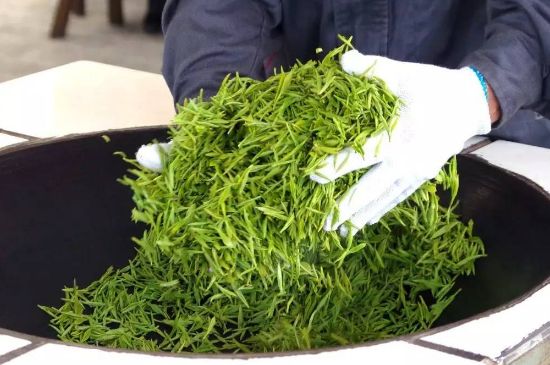 自家炒茶葉怎么炒，自己炒茶葉的步驟