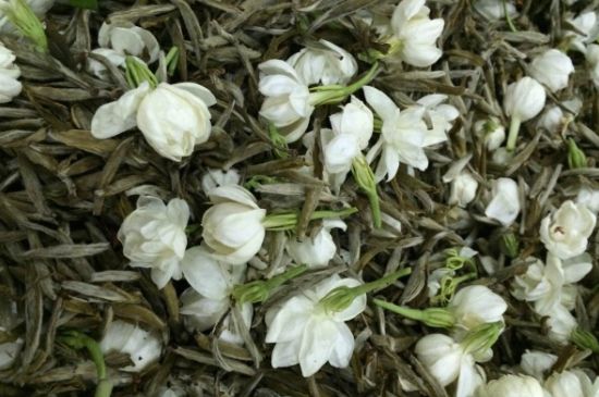 茉莉銀針口感，茉莉銀針是什么味道？