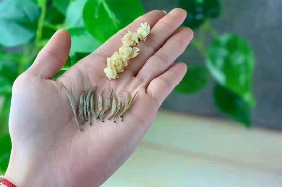 茉莉銀針口感，茉莉銀針是什么味道？