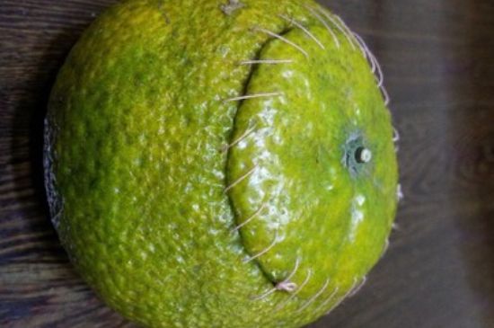 家庭自制柑普茶方法，小青柑制作9個步驟竅門（圖片）