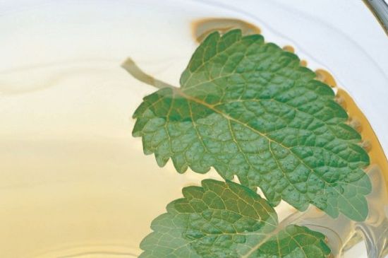 薄荷葉茶怎么制作，薄荷如何做成干茶葉