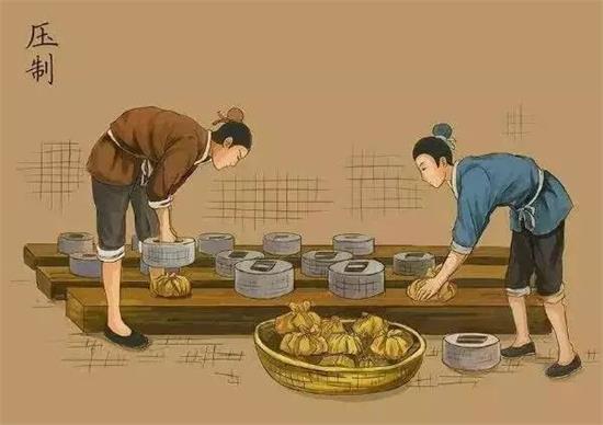 制茶八步驟，制茶工藝流程圖