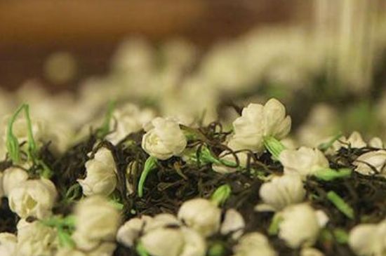 蒸茶器可以蒸花茶嗎，蒸茶器能用來蒸茉莉花茶嗎？