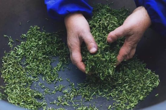 自家炒茶葉怎么炒，自己炒茶葉的步驟