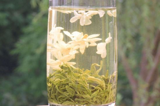 茉莉龍珠可以和什么一起泡茶，茉莉龍珠茶能加蜂蜜嗎？