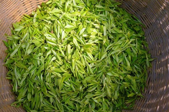 烏牛早和龍井的區(qū)別圖片，龍井43號和烏牛早茶的對比