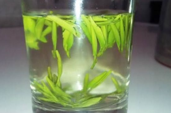 翠眉是什么茶，適合什么時候喝