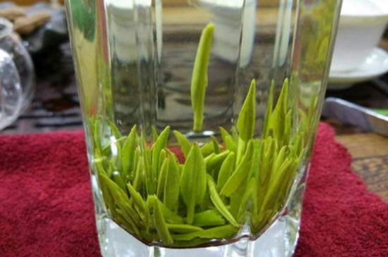 雀舌有一股青草味，雀舌為什么有青草味？