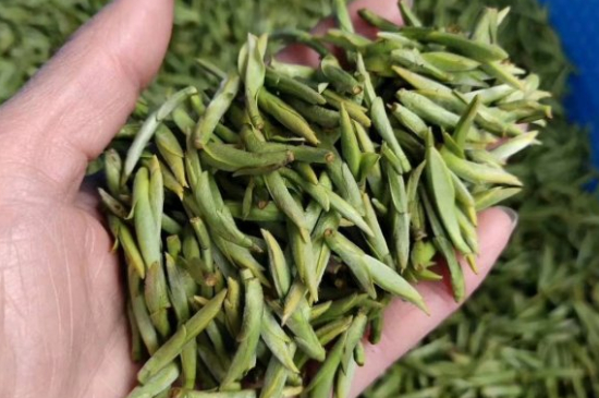 龍井茶好壞的鑒別圖片，如何區(qū)別龍井茶的好壞？