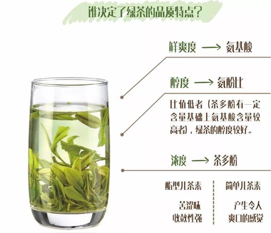 什么綠茶口味重口感濃郁，口味比較重的綠茶都有那些？