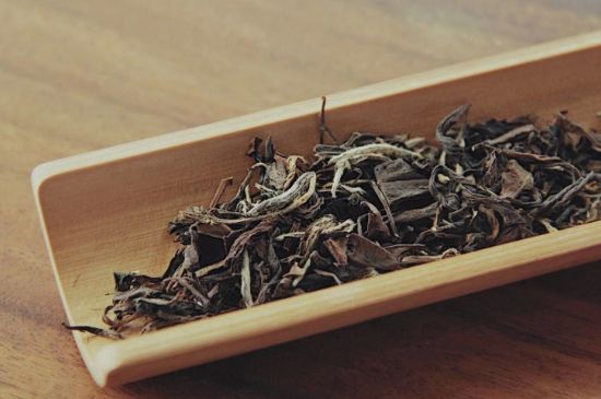 怎么撬老白茶茶餅不容易碎，福鼎白茶如何撬茶方法